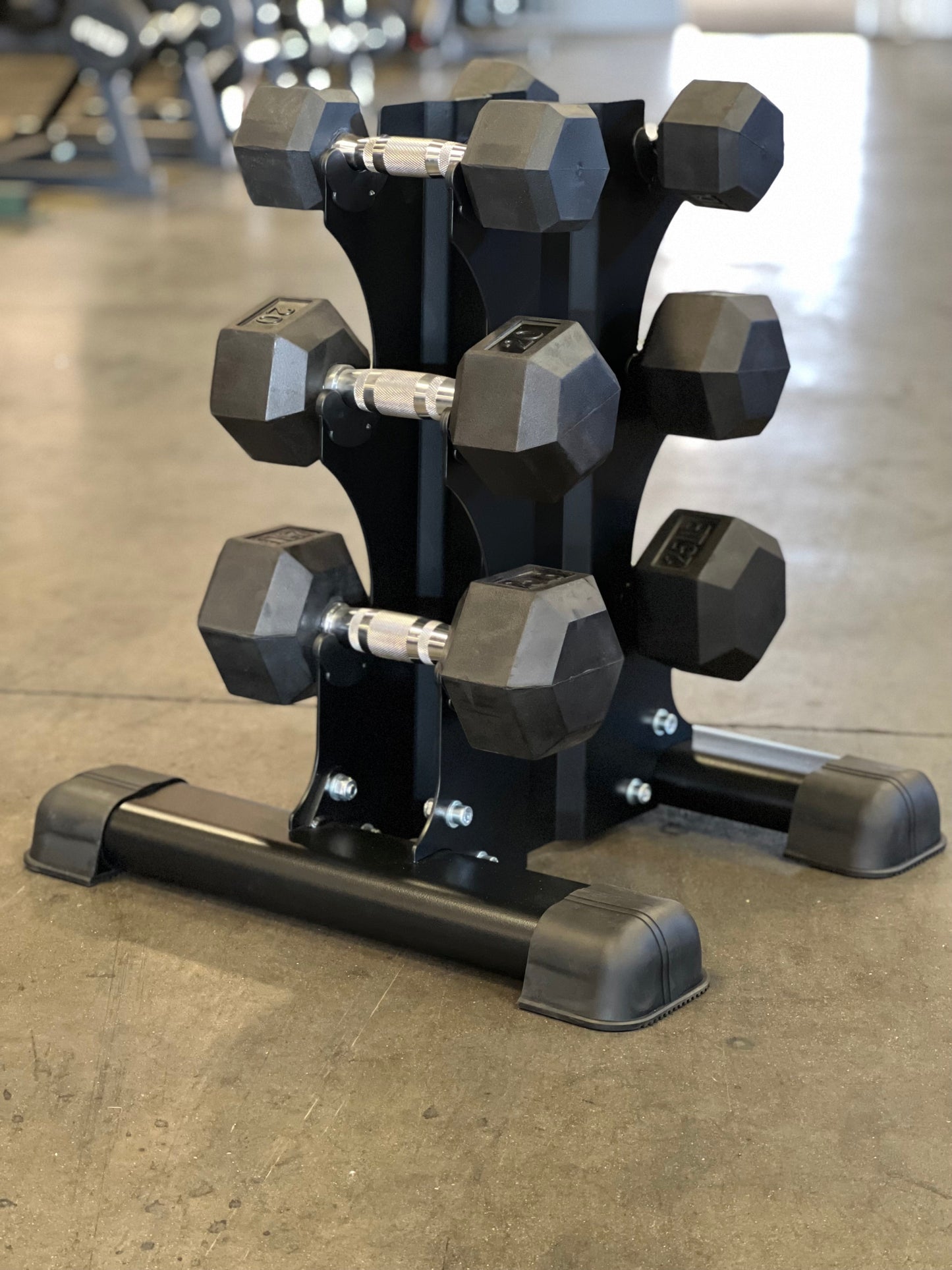 3 pair vertical dumbbell rack