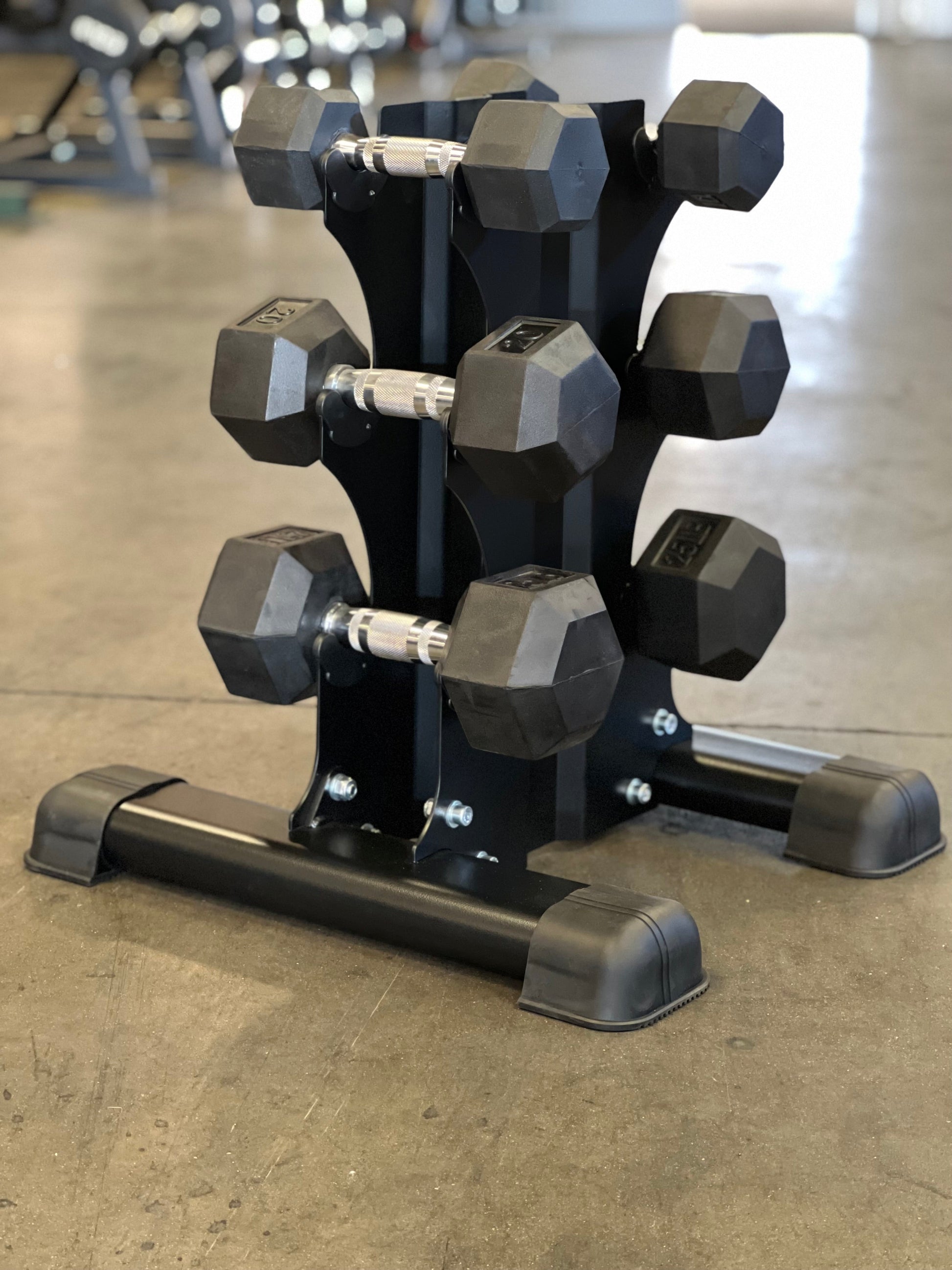 3 pair vertical dumbbell rack