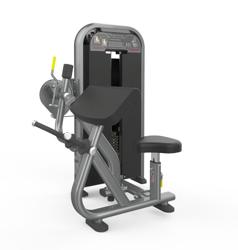 Fitness equipment display including a bench and squat rack, marked PL7705 Biceps, suitable for strength training activities.