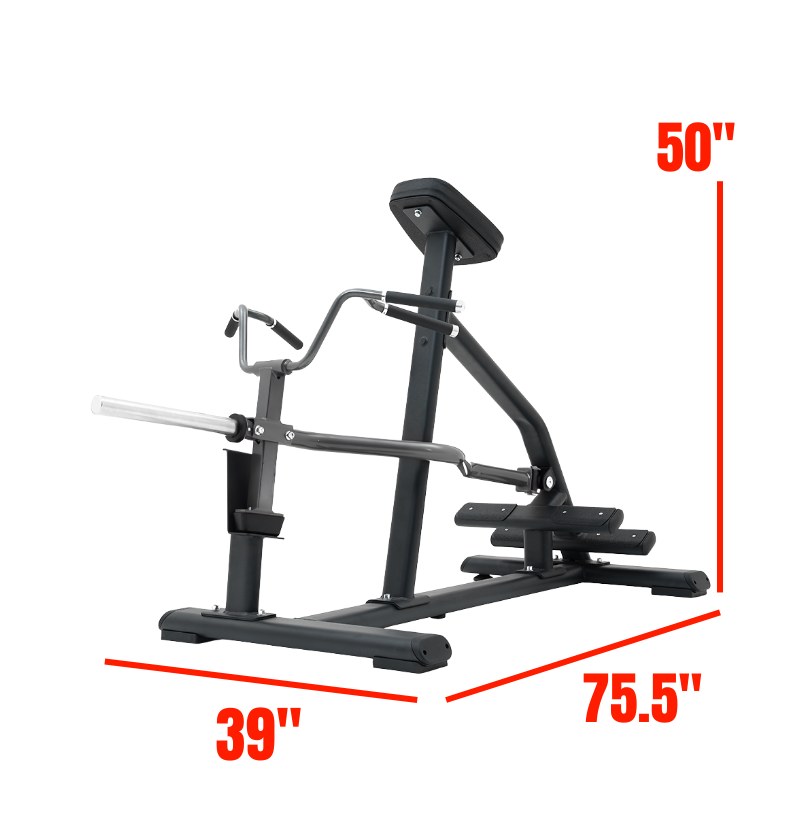 Incline Lever Row ONTARIO FLOOR MODEL