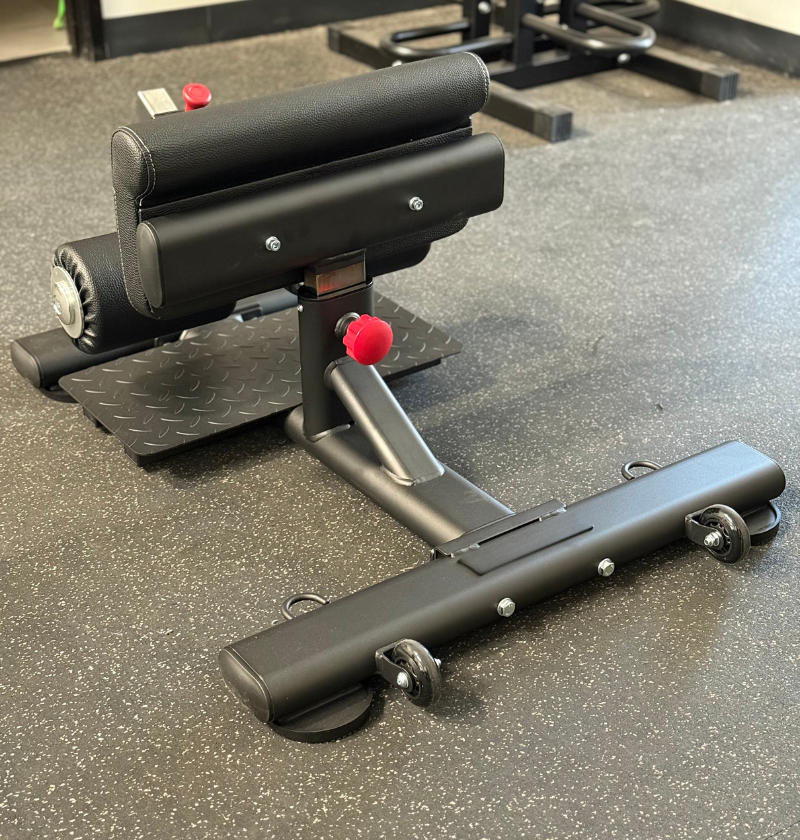 sissy squat machine to strengthen quads in a gym setting.