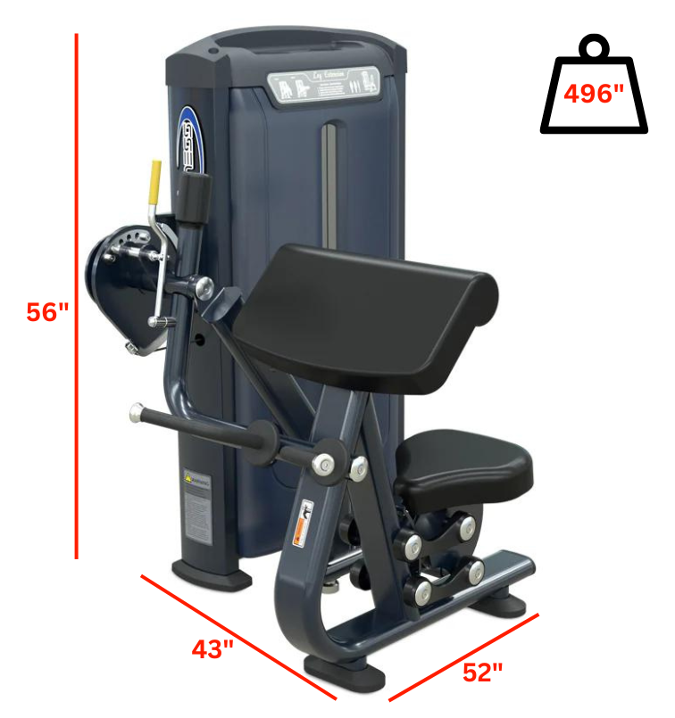 Bicep Tricep with labeled measurements