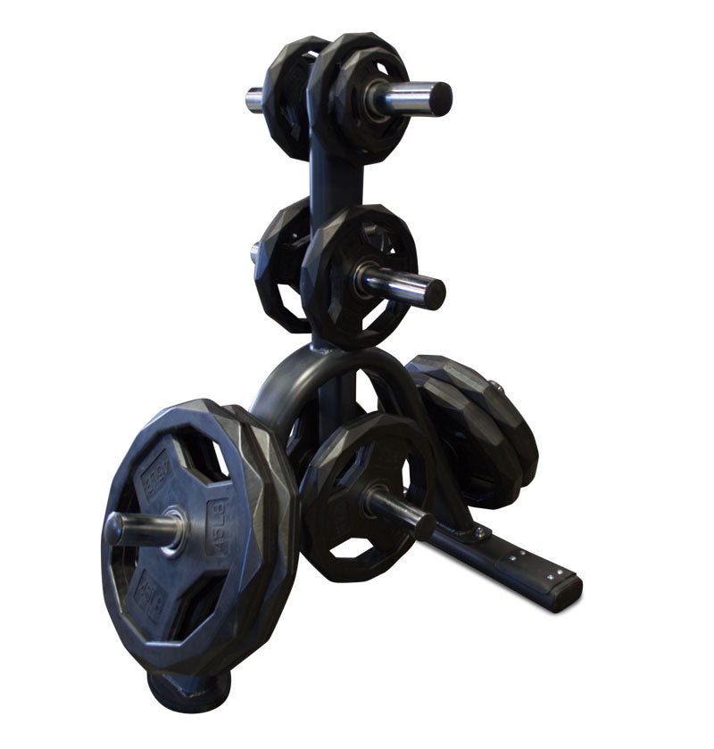 A black gym equipment rack, specifically an Olympic Plate Tree, with assorted weights neatly arranged.