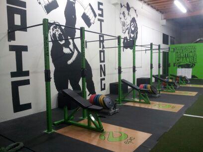 Wall Mounted Pull Up Rig