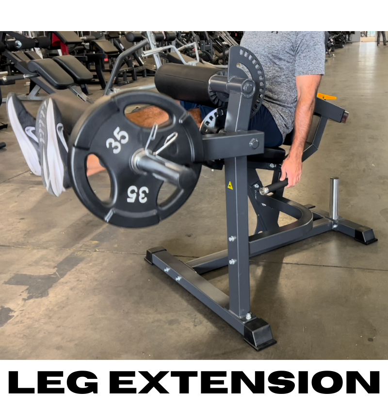 Leg extension machine labeled "Leg Extension," model PL7014, designed for seated leg exercises.