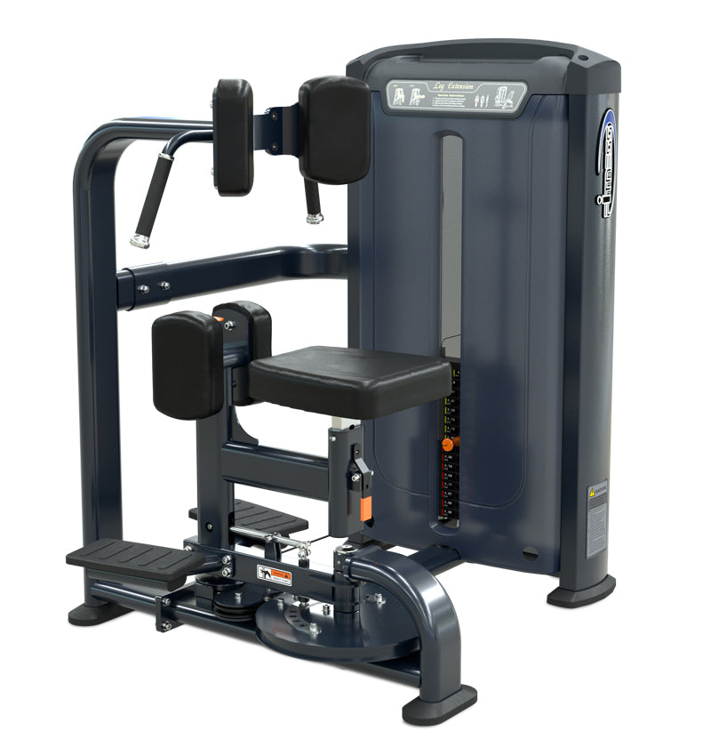 A seated twist machine featuring a comfortable seat and backrest for user support during exercise