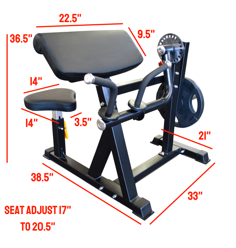 Plate Loaded Bicep Tricep with dimensions