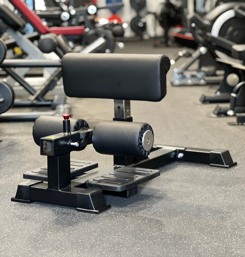 Sissy Squat Machine in a gym setting