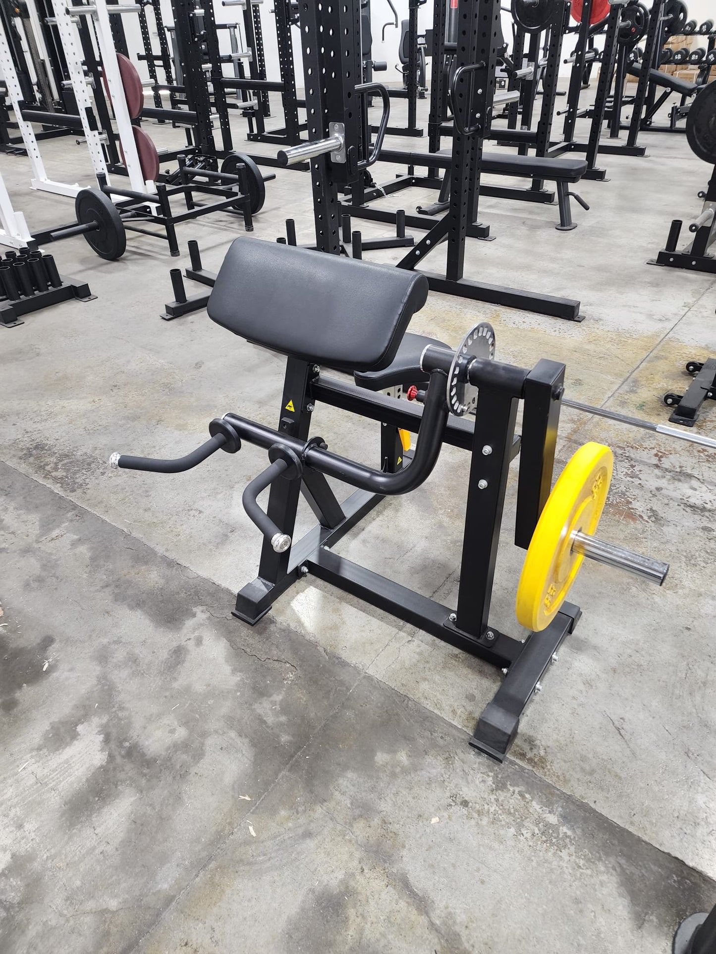 Plate Loaded Biceps Triceps Machine ONTARIO FLOOR MODEL