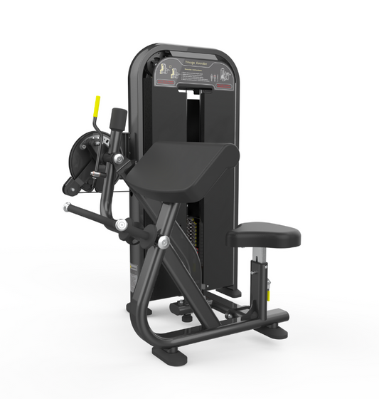 Biceps Triceps machine