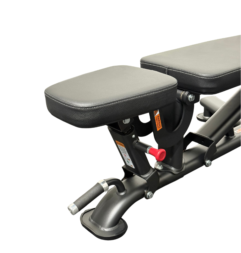 DR016 Adjustable Bench black workout bench displayed on white background