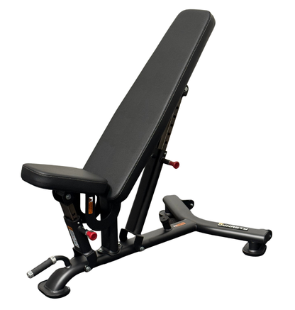 DR016 Adjustable Bench black workout bench displayed on white background