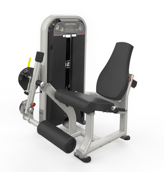 Seated Leg Extension (Silver)