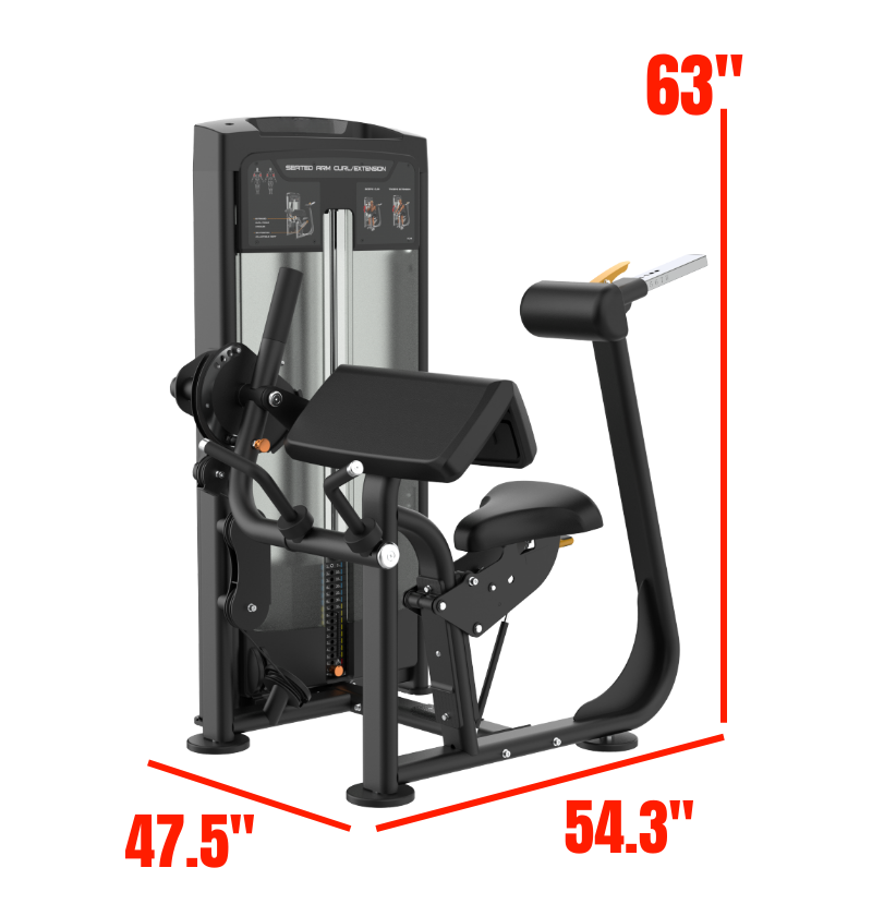 Seated Arm Curl/Extension