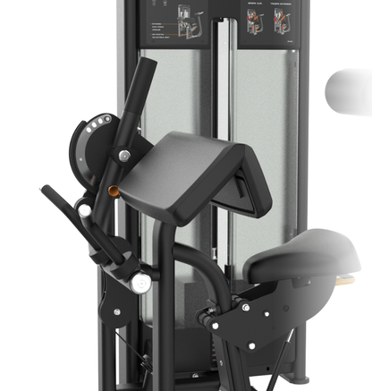 Seated Arm Curl/Extension