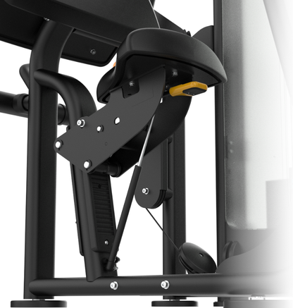 Seated Arm Curl/Extension