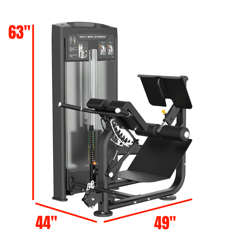 Multi Back Extension with labeled dimensions 