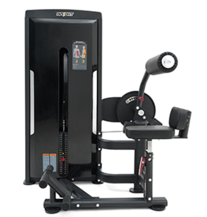 Abdominal Back Extension Black Selectorized Gym Equipment Displayed on a White Background 
