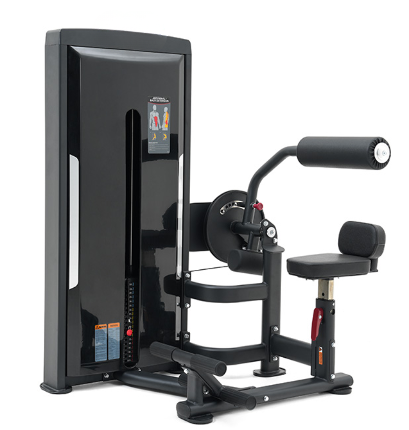 Abdominal Back Extension Black Selectorized Gym Equipment Displayed on a White Background 