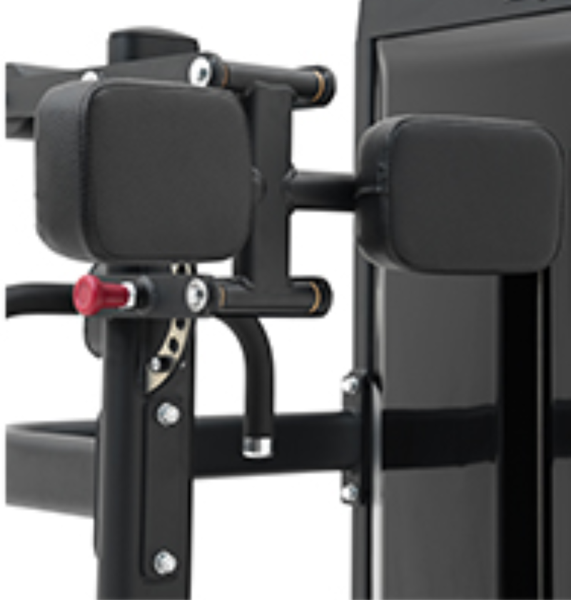 Abdominal Back Extension Black Selectorized Gym Equipment Close Up