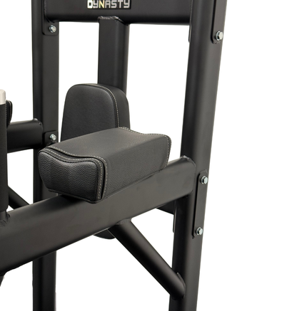 DR008 VKR Chin Dip Stand black workout equipment close up padded arms displayed on a white background 