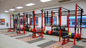 Full Set 245lbs Cast Iron Grip Plates – Extreme Training Equipment