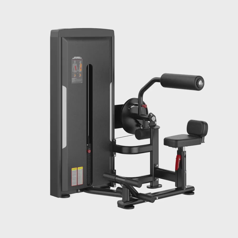 Abdominal Back Extension Black Selectorized Gym Equipment Display Video 360