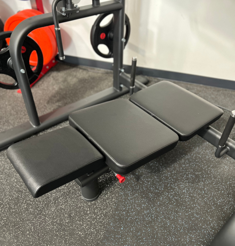 vertical leg press