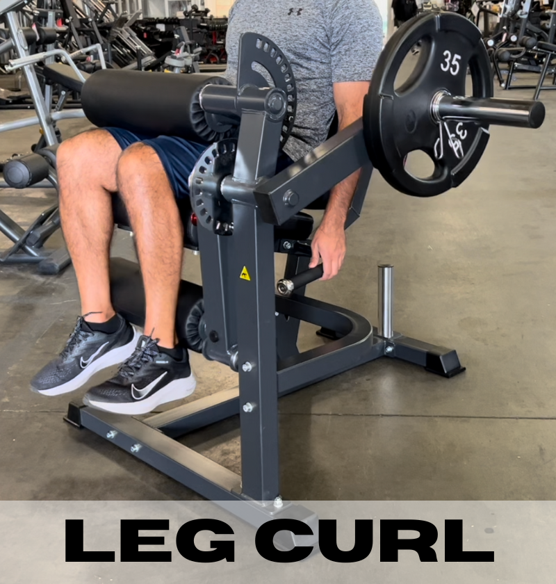 leg extension leg curl plate loaded