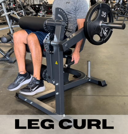 leg extension leg curl plate loaded