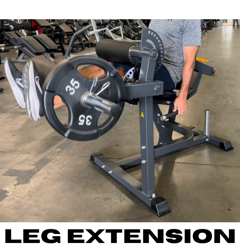 leg extension leg curl plate loaded