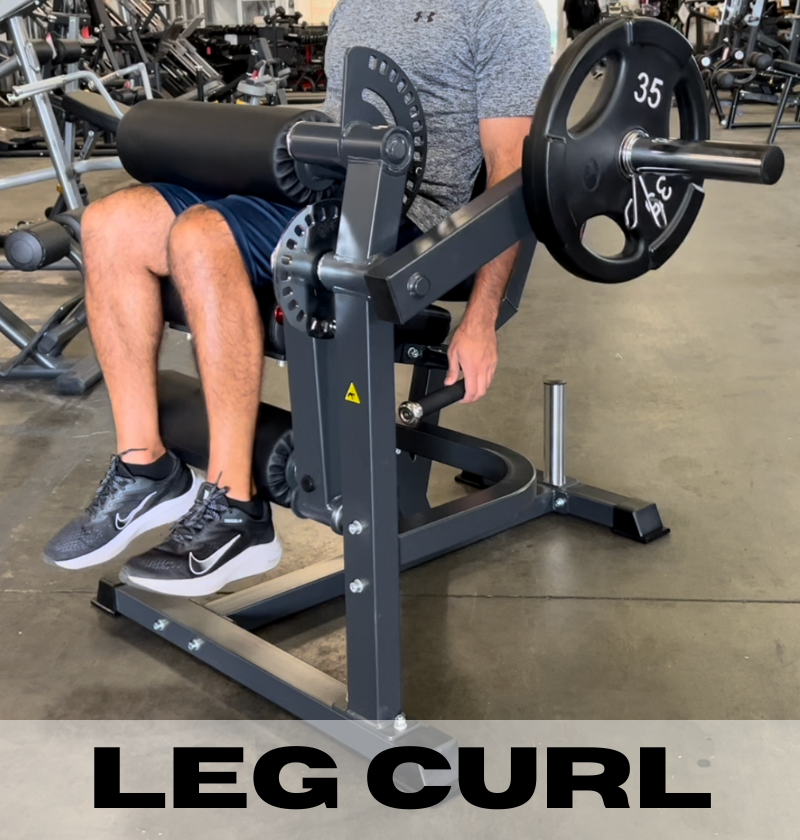 Leg Extension, Plate-loaded