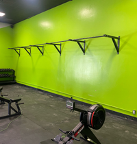 wall mounted pull up bar usa made