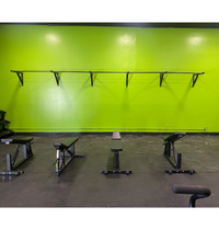 wall mounted pull up bars extreme training equipment