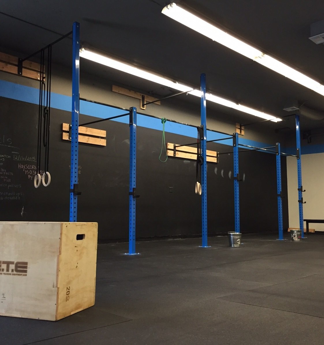 Wall Mounted Pull Up Rig 8-12 Week Lead Time