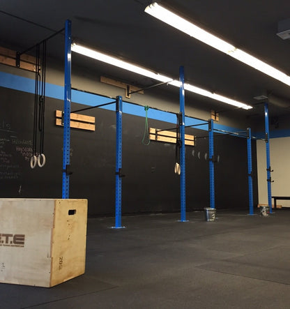 Wall Mounted Pull Up Rig 8-12 Week Lead Time