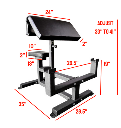 Preacher Curl Bench