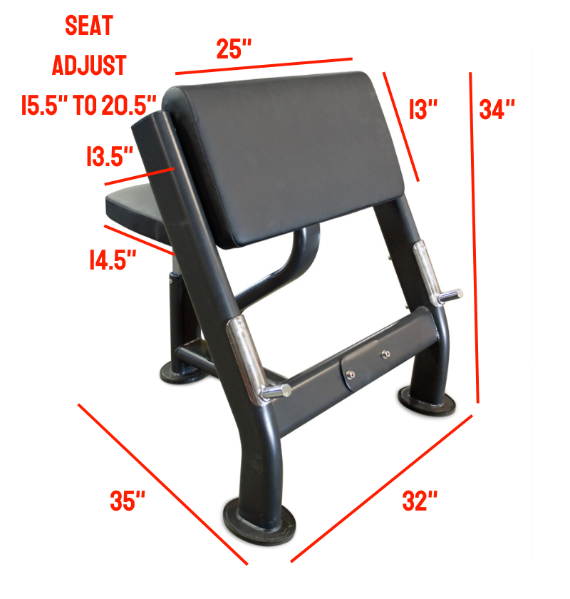 Preacher Curl Bench