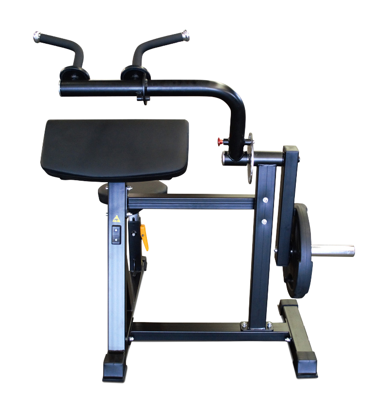Bicep Exercises Machine