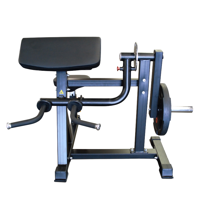Bicep and tricep best sale machine